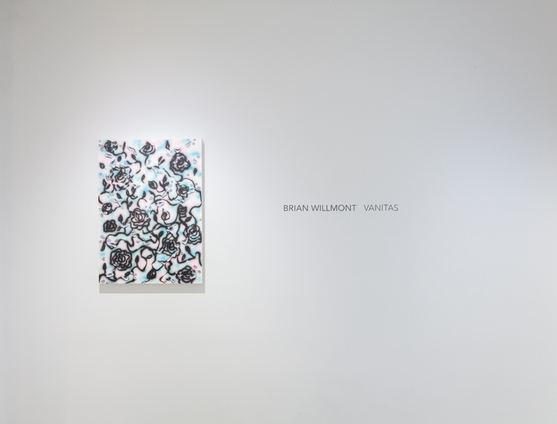WillmontVanitasInstall